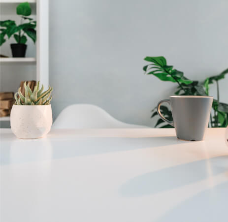a white table with a succulent plant and gray coffee mug on it