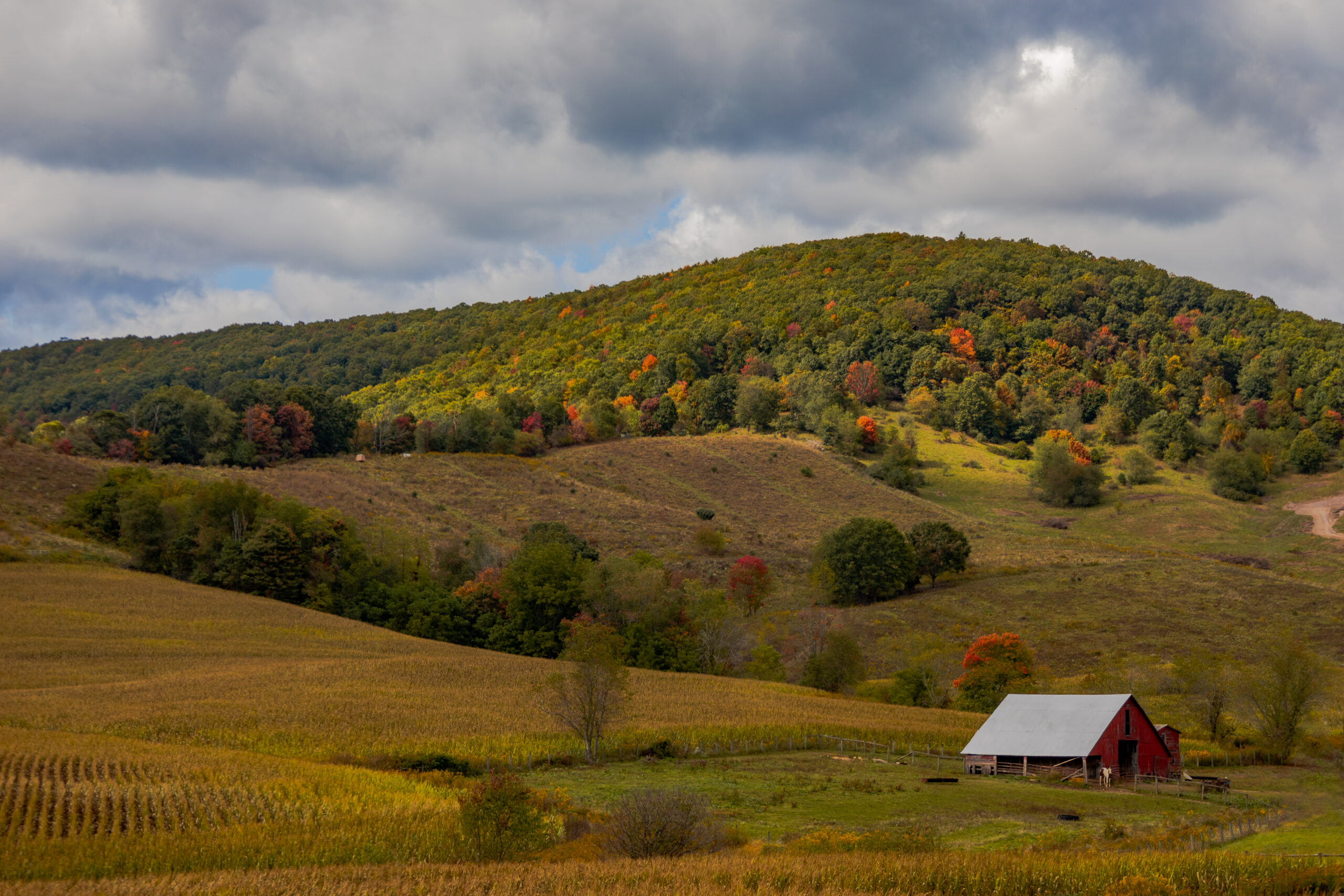 farm-landscape-in-early-fall in vermont