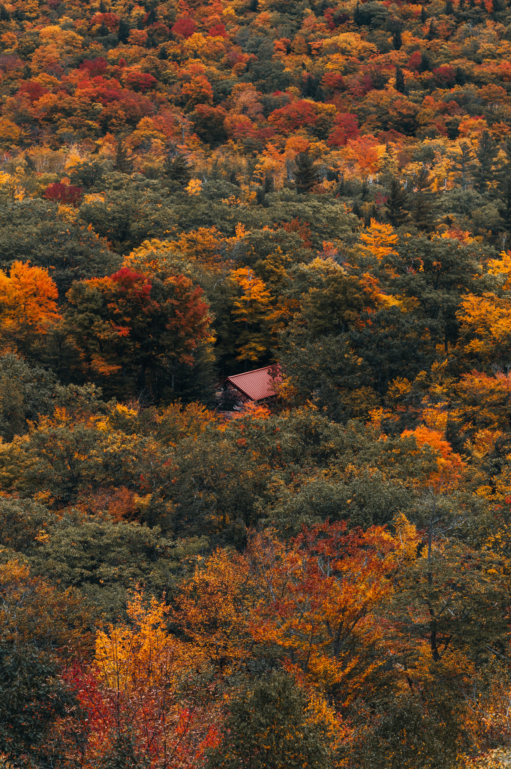 A beautiful scene with a cabin in the colorful autumn foliage, New Hampshire, USA